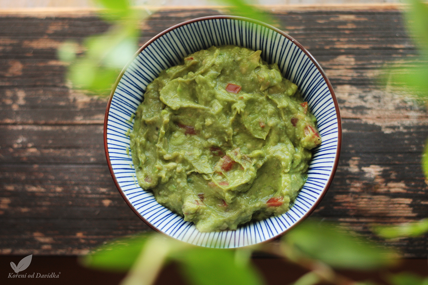 Guacamole VODOZNAK